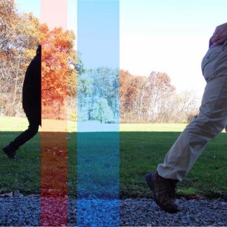 Graham Lambkin/Taku Unami "The Whistler "