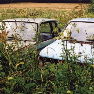 Éric La Casa/Taku Unami "Parazoan Mapping"