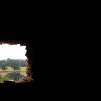 Annette Krebs/Taku Unami "motubachii"